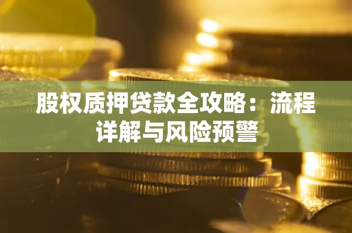 北京股权质押贷款全攻略：流程详解与风险预警