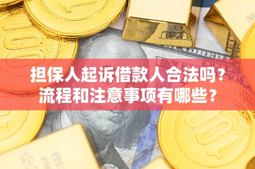 北京担保人起诉借款人合法吗？流程和注意事项有哪些？