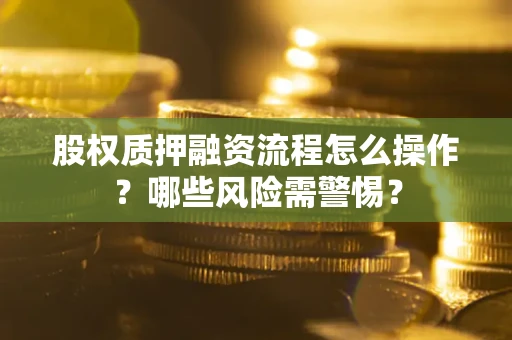 北京股权质押融资流程怎么操作？哪些风险需警惕？