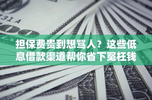 北京担保费贵到想骂人？这些低息借款渠道帮你省下冤枉钱