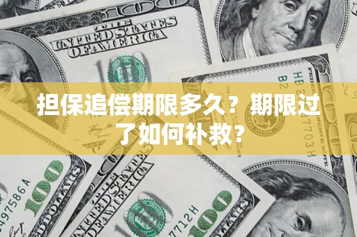 北京担保追偿期限多久？期限过了如何补救？