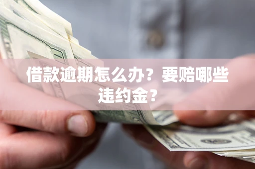 北京借款逾期怎么办？要赔哪些违约金？